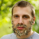 Image for article titled Man Has Trouble Growing Full Beard Of Bees